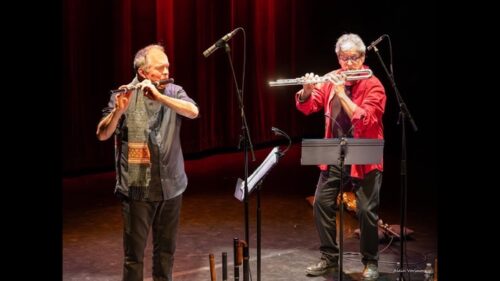 Flûte traversière bois et métal au Conservatoire de St Brieuc : Jean-Michel Veillon & Jean-Mathias Petri à la Villa Carmelie @ Conservatoire de Saint-Brieuc